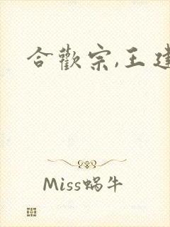 合欢宗,王建强