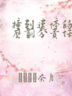 撞到违停的车怎么划分责任