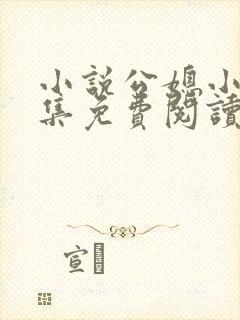 小说公媳小说合集免费阅读深夜阅读全文