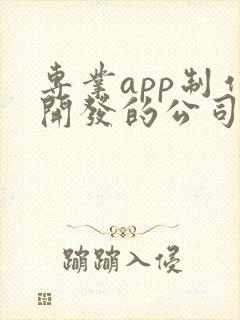 专业app制作开发的公司