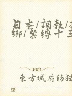 日本/调教/捆绑/紧缚十三
