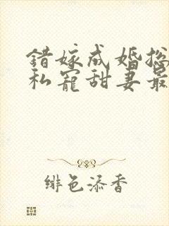错嫁成婚总裁的私宠甜妻最新