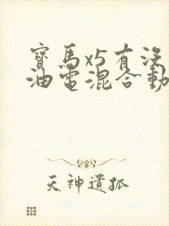 宝马x5有没有油电混合动力