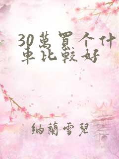 30万买个什么车比较好