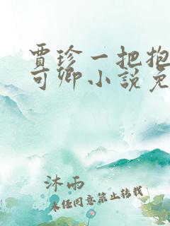 贾珍一把抱起秦可卿小说免费
