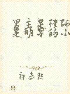 男主是律师女主是明星的小说