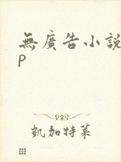 无广告小说app