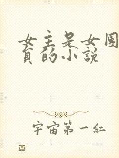 女主是女团的成员的小说