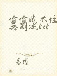 偷偷藏不住番外无删减txt