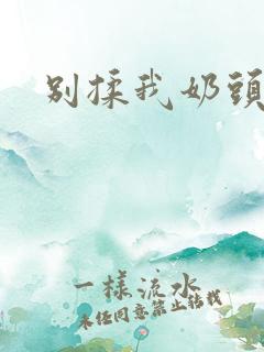 别揉我奶头子