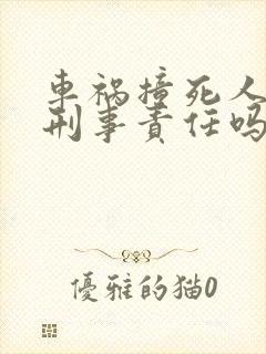 车祸撞死人要负刑事责任吗