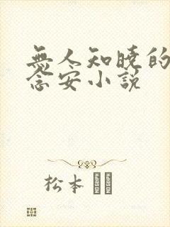 无人知晓的她苏念安小说