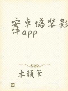 安卓伪装影视软件app