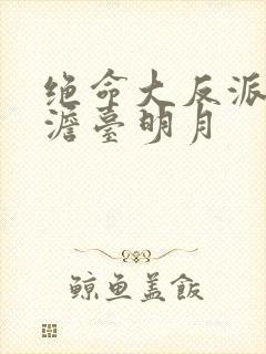 绝命大反派叶玄澹台明月