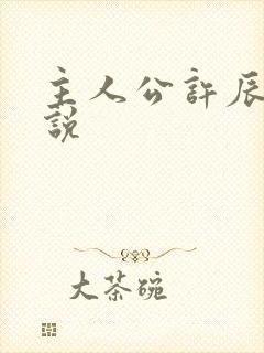 主人公许辰的小说