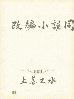 改编小说同人版