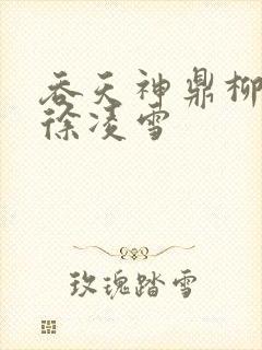 吞天神鼎柳无邪徐凌雪 吞天神鼎柳无邪徐凌雪