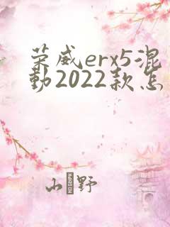 荣威erx5混动2022款怎么样