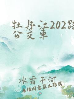 牡丹江202路公交车 牡丹江202路公交车