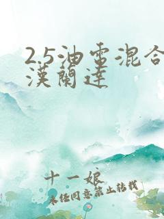 2.5油电混合汉兰达