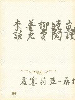 李普柳晓岚的小说免费阅读无弹窗