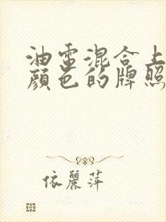 油电混合上什么颜色的牌照