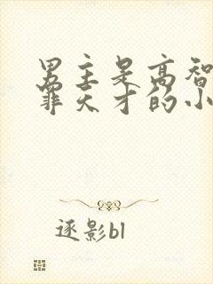 男主是高智商犯罪天才的小说