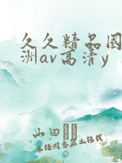 久久精品国产亚洲av高清y