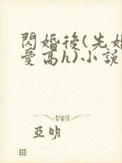 闪婚后(先婚后爱高h)小说 闪婚后(先婚后爱高h)小说