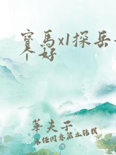 宝马x1探岳哪个好