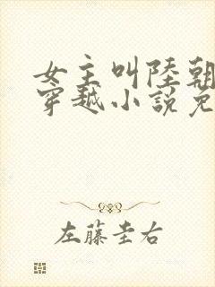 女主叫陆朝朝的穿越小说免费阅读