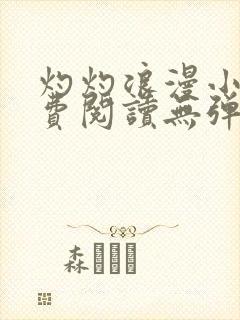 灼灼浪漫小说免费阅读无弹窗下载
