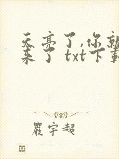 天亮了,你就回来了 txt下载