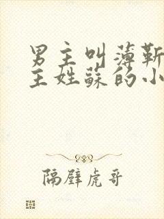 男主叫薄靳言女主姓苏的小说