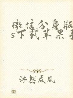 微信分身版ios下载苹果手机版