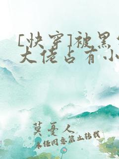 [快穿]被黑化大佬占有小说