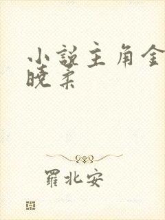 小说主角金锋关晓柔