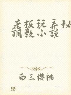 老板玩弄秘书h调教小说
