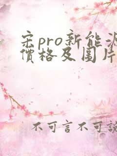 宋pro新能源价格及图片报价
