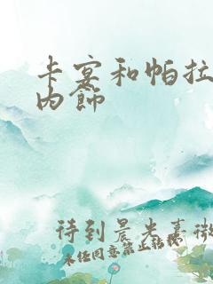 卡宴和帕拉梅拉内饰 卡宴和帕拉梅拉内饰