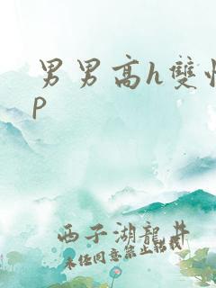 男男高h双性np