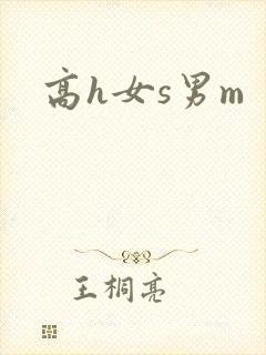 高h女s男m