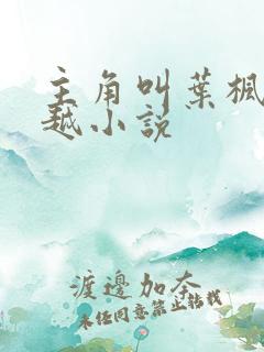 主角叫叶枫的穿越小说