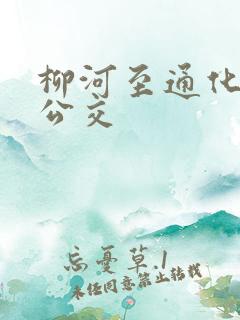 柳河至通化城际公交