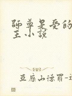 师尊是受的双男主小说