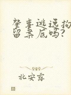 肇事逃逸拘留会留案底吗?