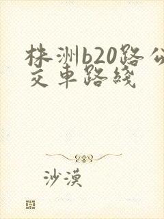 株洲b20路公交车路线