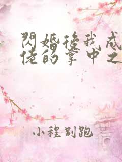 闪婚后我成了大佬的掌中之物大结局