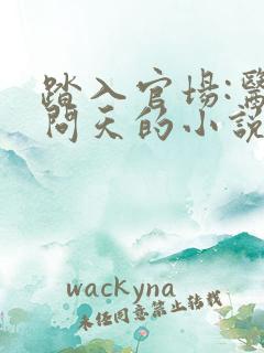 踏入官场:医道问天的小说