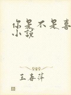 你是不是喜欢我小说